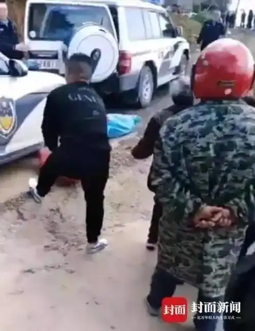  小学生被狗咬死,心痛