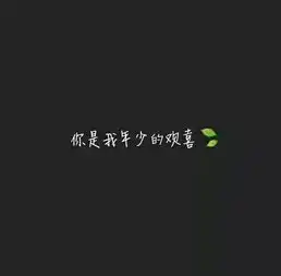  你是我年少的欢喜