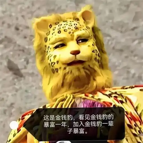  最近爆火的金钱豹是什么梗