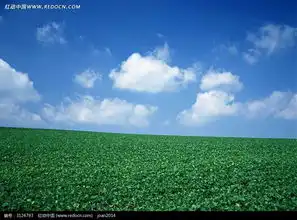  蓝天白云和绿色的田野图片免费下载红动网