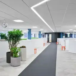  如何布局办公室装修风水才能催旺吉运