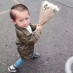  这个照片是一组图片里的其中一张求剩余图片谢谢了