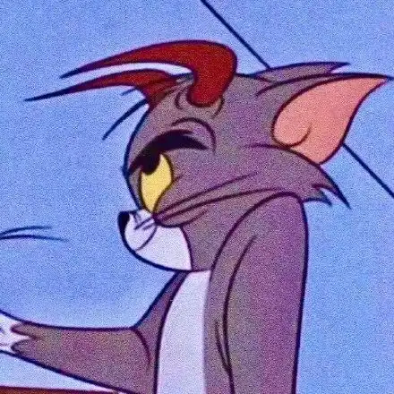qq头像沙雕搞怪奇葩猫和