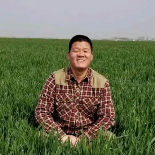  田野上的繁荣