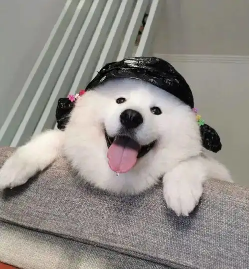 搞怪头像你经历过最撩的事是什么