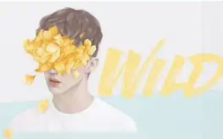  戳爷troyesivan