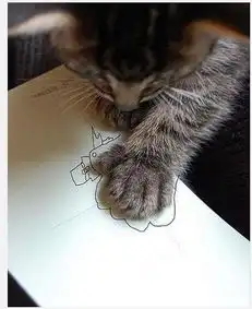  猫咪偷吃咸鱼后被咸到,瞬间一脸的嫌弃..