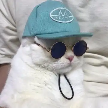  家有萌宠