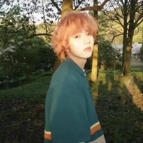  小众头像everythingwillflow