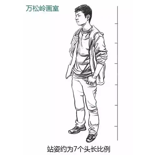  人物速写指南