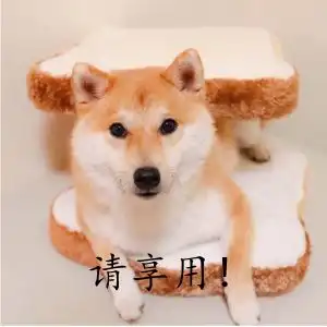 柴犬微信背景图