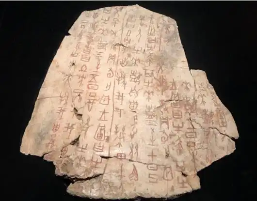  一片甲骨惊天下120多年后冷门绝学让黄河文明活起来