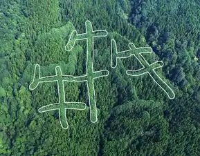  山区现神秘犇字形图案原因成谜