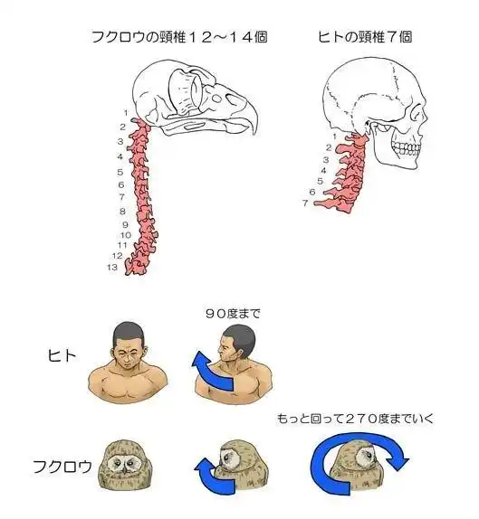  杂物收藏夹