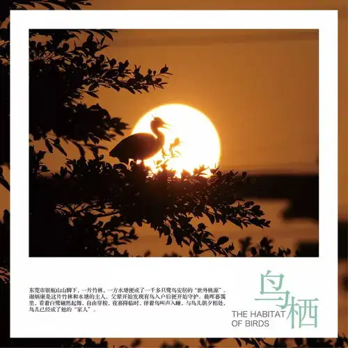  东莞话麻笔是什么意思超过90的东莞人都会答错