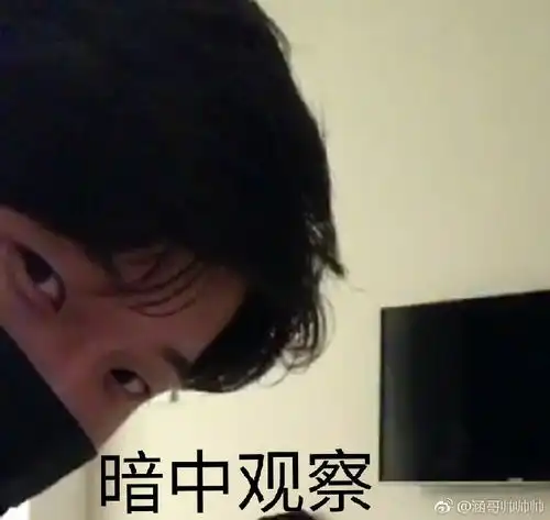  花少北花生米表情包