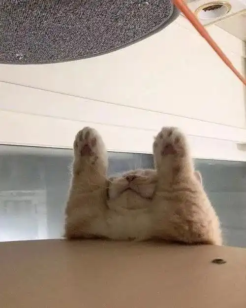  漫长的寒假中,我在家都做了些什么