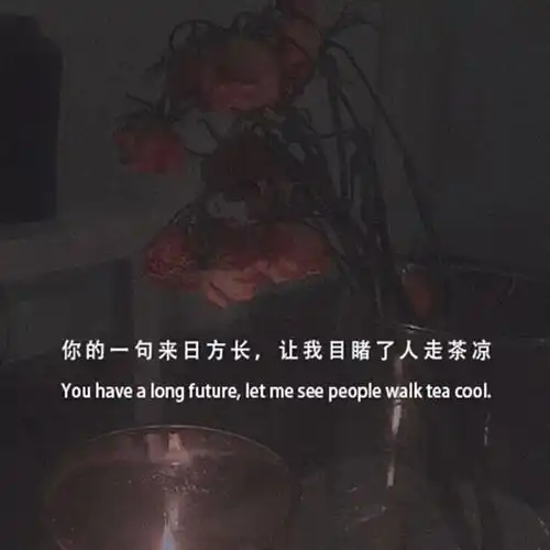  你的过去我来不及参与,你的未来我奉陪到底