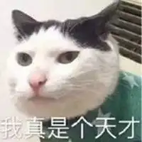 我果然是个天才头像