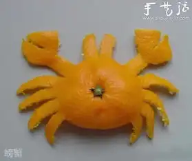  好玩的橘子皮创意diy
