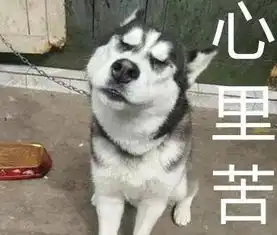  萨摩干坏事,二哈却挨了顿揍傻子就活该被欺负吗