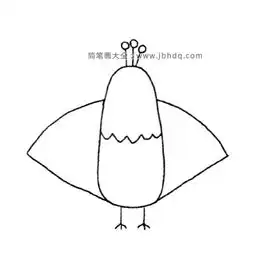  鸟儿王国孔雀