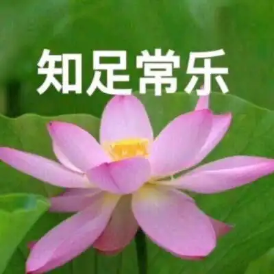 适合家长的专属头像云卿