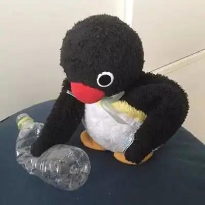  除了网课我刀枪不入