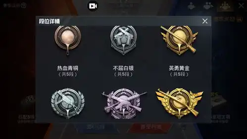  和平精英什么段位才能被称为大神玩家