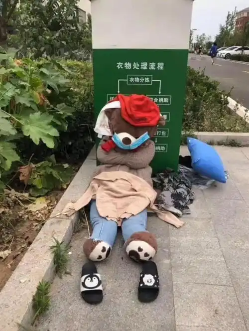 小熊被遗弃后的奇幻历程,悲伤的故事居然有点暖心