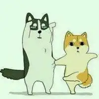 哈士奇柴犬卡通头像动漫