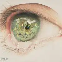  龙猫可爱图片头像微信头像图片大全