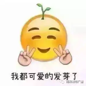  南阳师生共诵经典决赛完美落幕快来看看有没有你熟悉的面孔吧