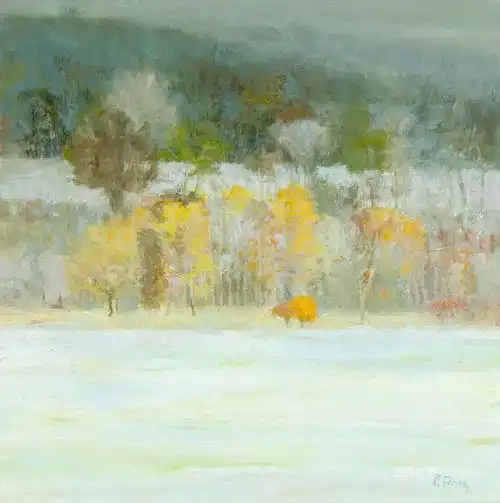  peterfiore充满光感的风景油画,美
