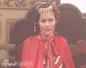  韩栋版鹿鼎记再毁经典盘点各版韦小宝娇妻