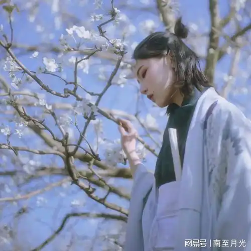  破解版下载安装