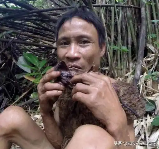  父子生活在无人区,不知世界上有女人,真实版山顶洞人现状如何