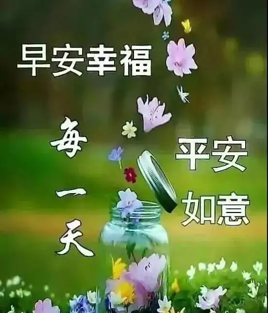  最后一天温馨幸福的早上好问候很阳光的早安问候祝福图片