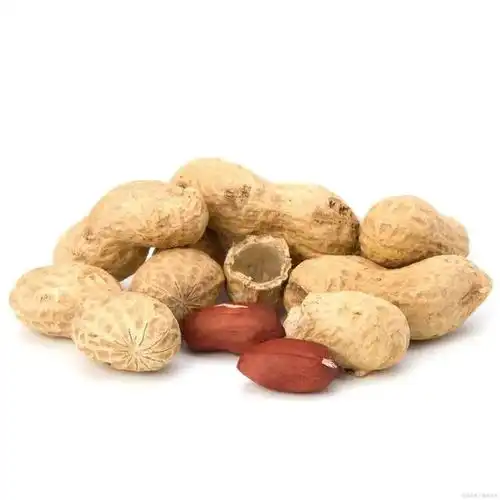  瓜子和花生,一个长胖一个减肥,你们都吃对了吗