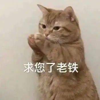  你好坏我好爱丨第826期喵表情包