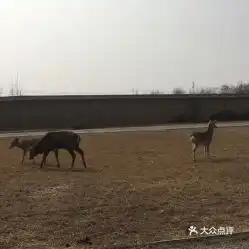  电话地址价格营业时间安阳县其他景点团购安阳周边游