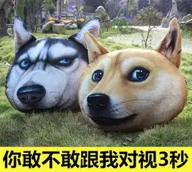  洗脑大法还是柴犬好