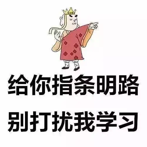 有哪些特别适合作头像的图片