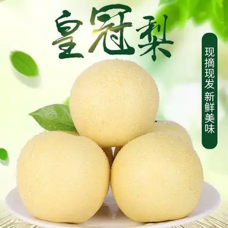  雪梨水果新鲜雪花梨砀山梨皇冠梨酥梨正宗510斤大吉大梨