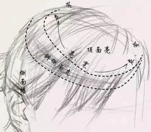  素描干货教程大汇总,可别再说内容不齐全啦
