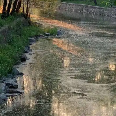  客桥.小众背景图我们会变好的,一风景静物头像我要个性网