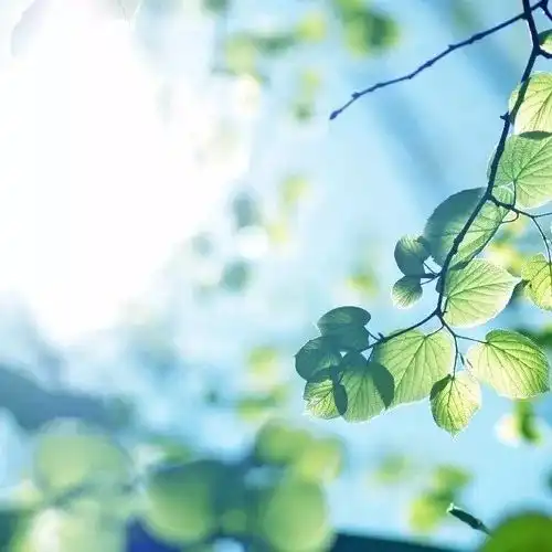  阅读时光好书推荐觅渡,确定不来盘它吗