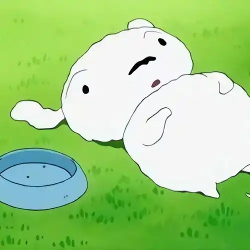  瞧萌翻天的头像大集结,轻松树立搞怪人设