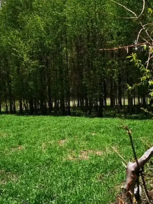  大山深处自然美山清水秀好风光风景优美空气清新六一就是要快乐呀风景如画心旷神怡一起享受大自然的美实景拍摄