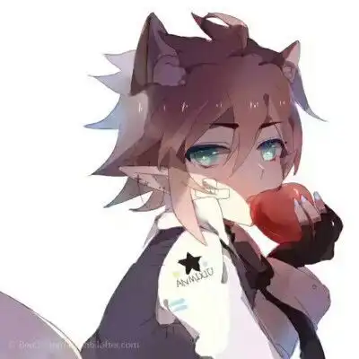  凹凸世界安迷修